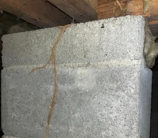 termite_tube_damage-1 image Termite control in Holly Springs NC